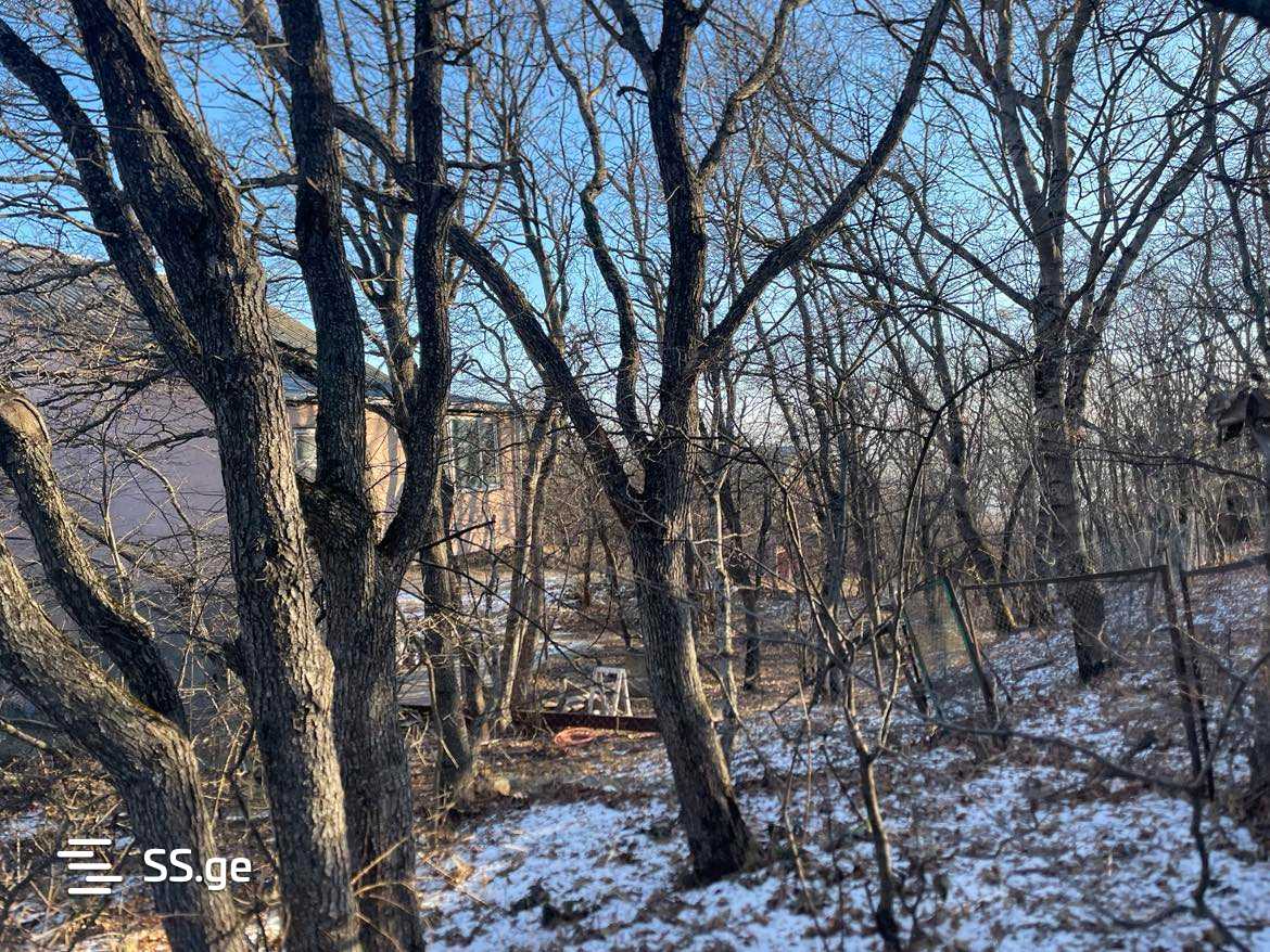 Land For Sale. Mukhattskaro view 18