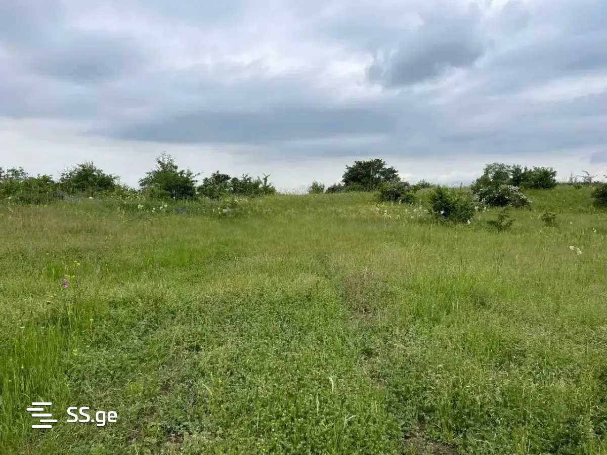Land For Sale. Kojori view 1