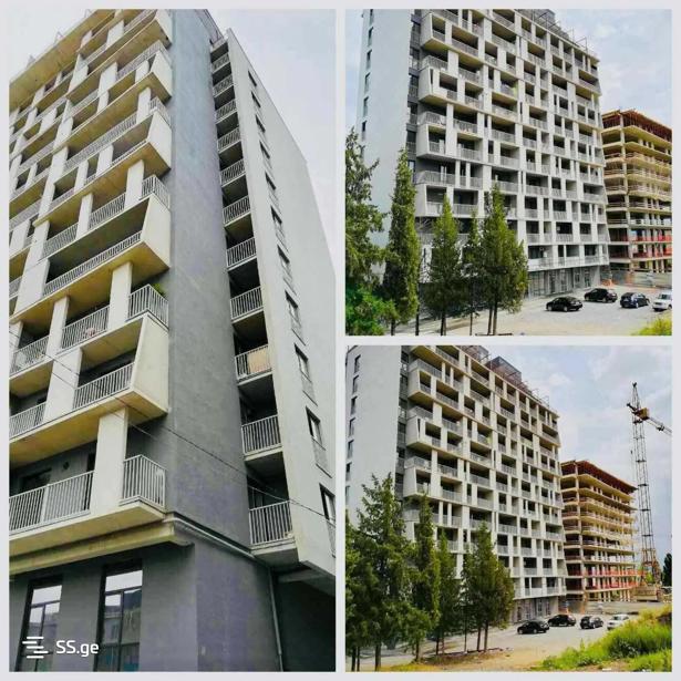 https://static.ss.ge/20250408/15_e482045a-5d49-494c-aa20-032021699105_Thumb.jpg