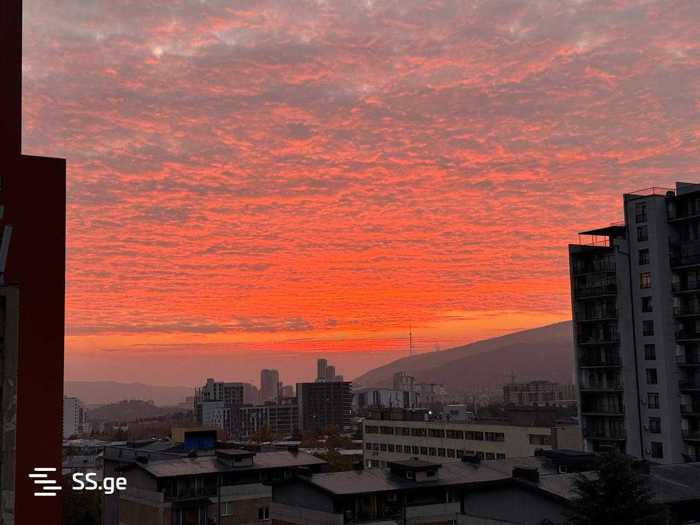 https://static.ss.ge/20250408/5_e7d40d8c-b3d5-40de-9f1e-8dd565f39896_Thumb.jpg