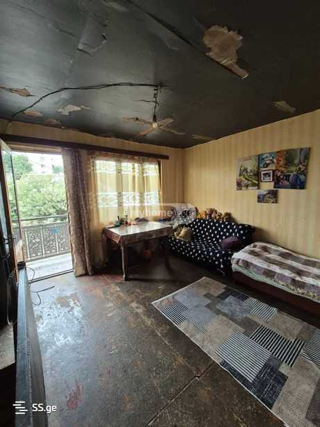 https://static.ss.ge/20250408/7_7316c78b-3903-41c9-b9ef-d42e123c0334_Thumb.jpg