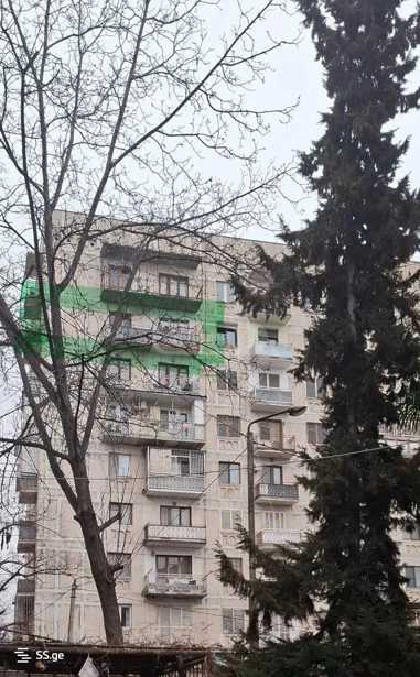 https://static.ss.ge/20250408/7_b3600b04-328c-41b1-b8f9-5336944bc8c5_Thumb.jpg