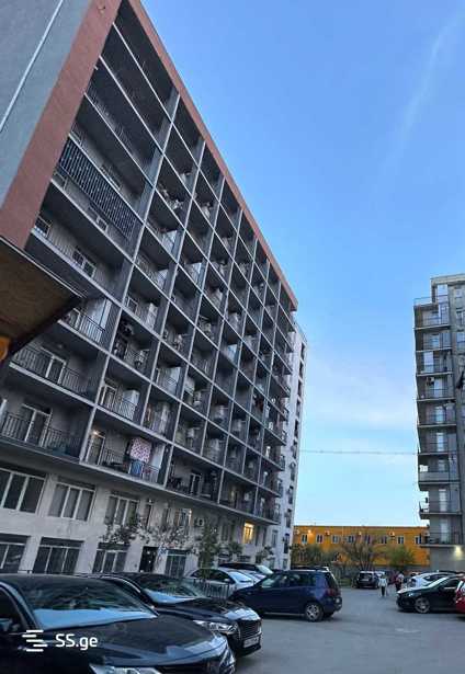 https://static.ss.ge/20250408/8_f5f84c1c-1b0e-4905-8e6f-0bf3e9254484_Thumb.jpg