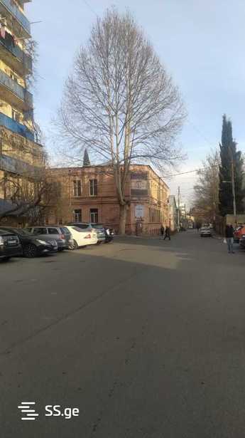 https://static.ss.ge/20250409/15_4ee3df82-1d3f-459e-b495-b5278d9ce122_Thumb.jpg