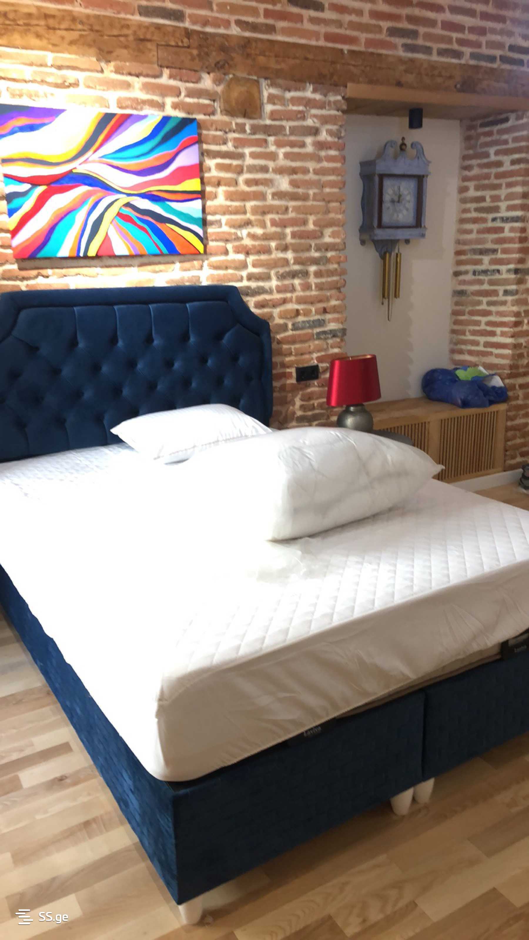 3 Room Flat Daily Rent. Mtatsminda view 1