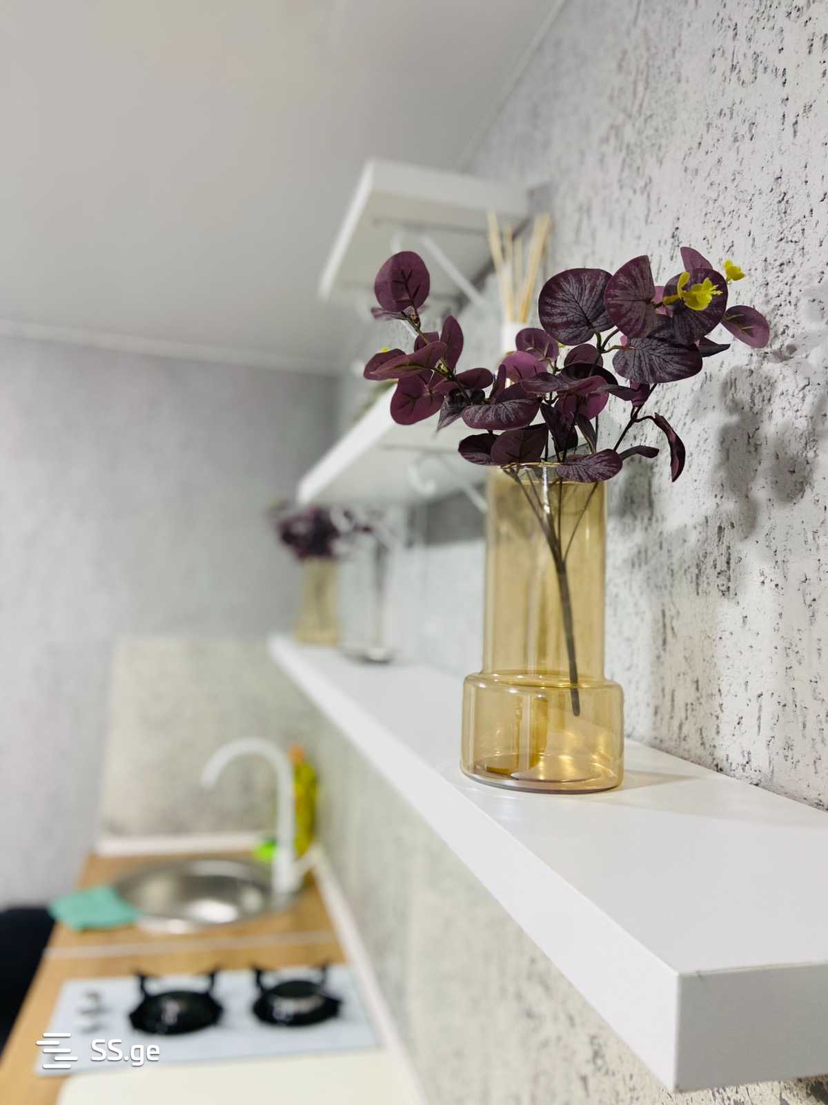 2 Room Flat Daily Rent. Kutaisi view 5