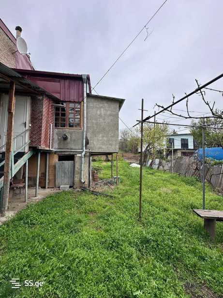 https://static.ss.ge/20250410/18_d5938110-4252-430d-bd63-809f318bd01b_Thumb.jpg