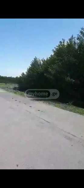 https://static.ss.ge/20250410/6_51fe7931-9aea-4932-86a4-c9ec919070c9_Thumb.jpg