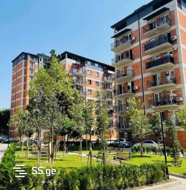 https://static.ss.ge/20250410/7_7a283ee4-d52e-4acc-b52c-92ef8cf6ae6b_Thumb.jpg