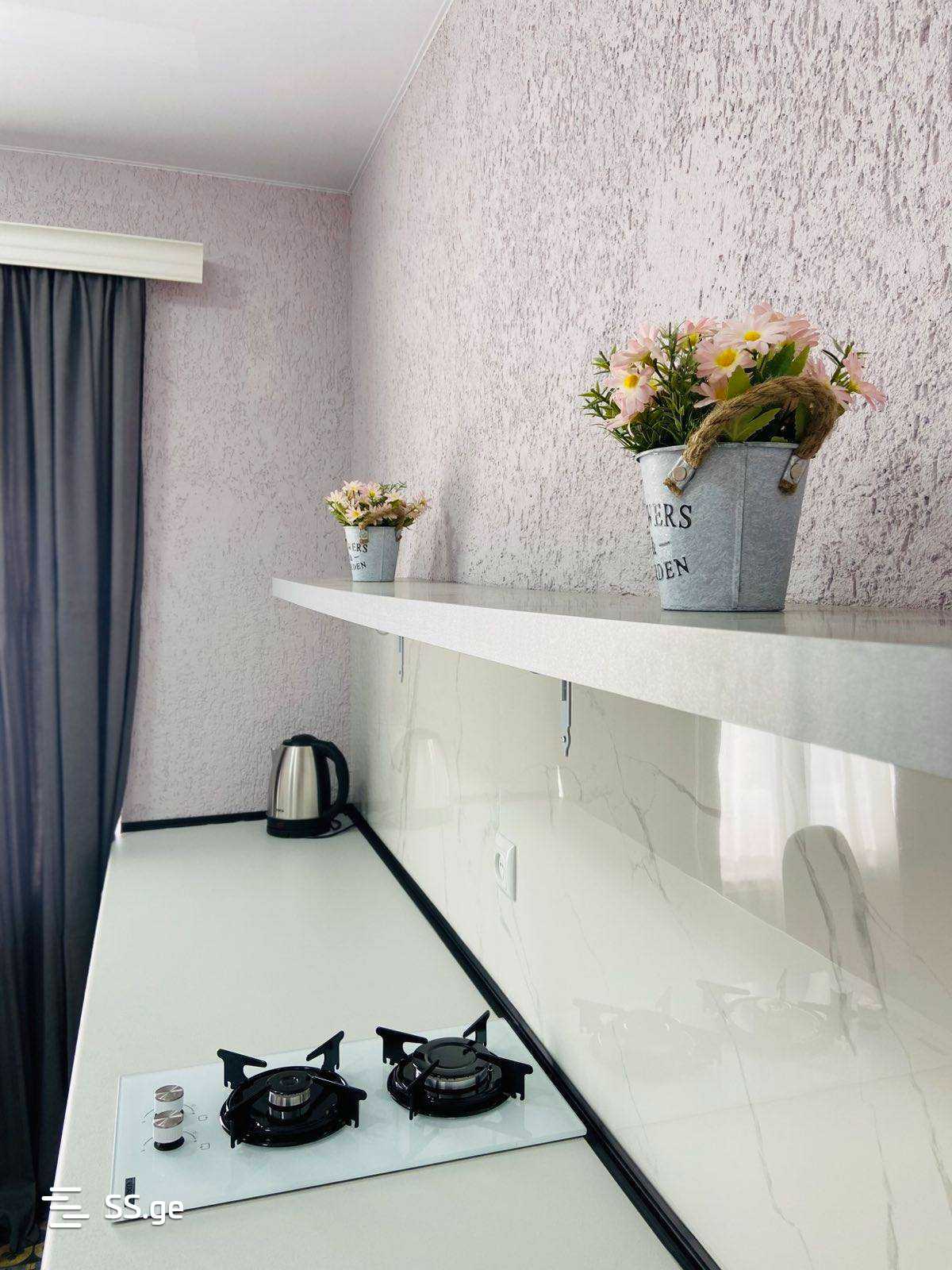 Daily Rent 1 Room Apartment Kutaisshi view 27