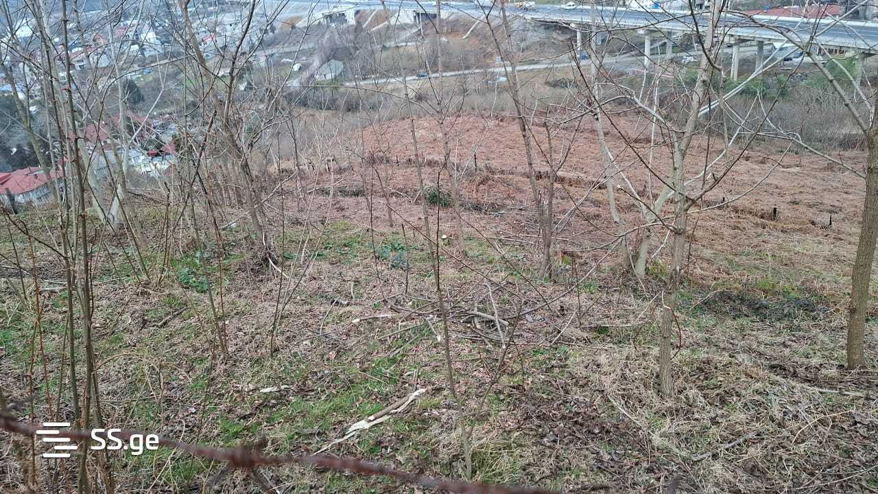 იყიდება მიწა მახინჯაურიში view 9