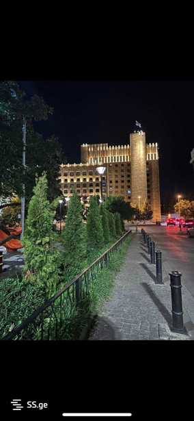https://static.ss.ge/20250411/4_371a8b9c-683c-45aa-b588-208666a09b26_Thumb.jpg