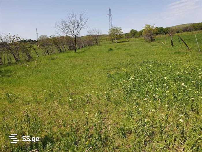 Land For Sale. Dzalisi