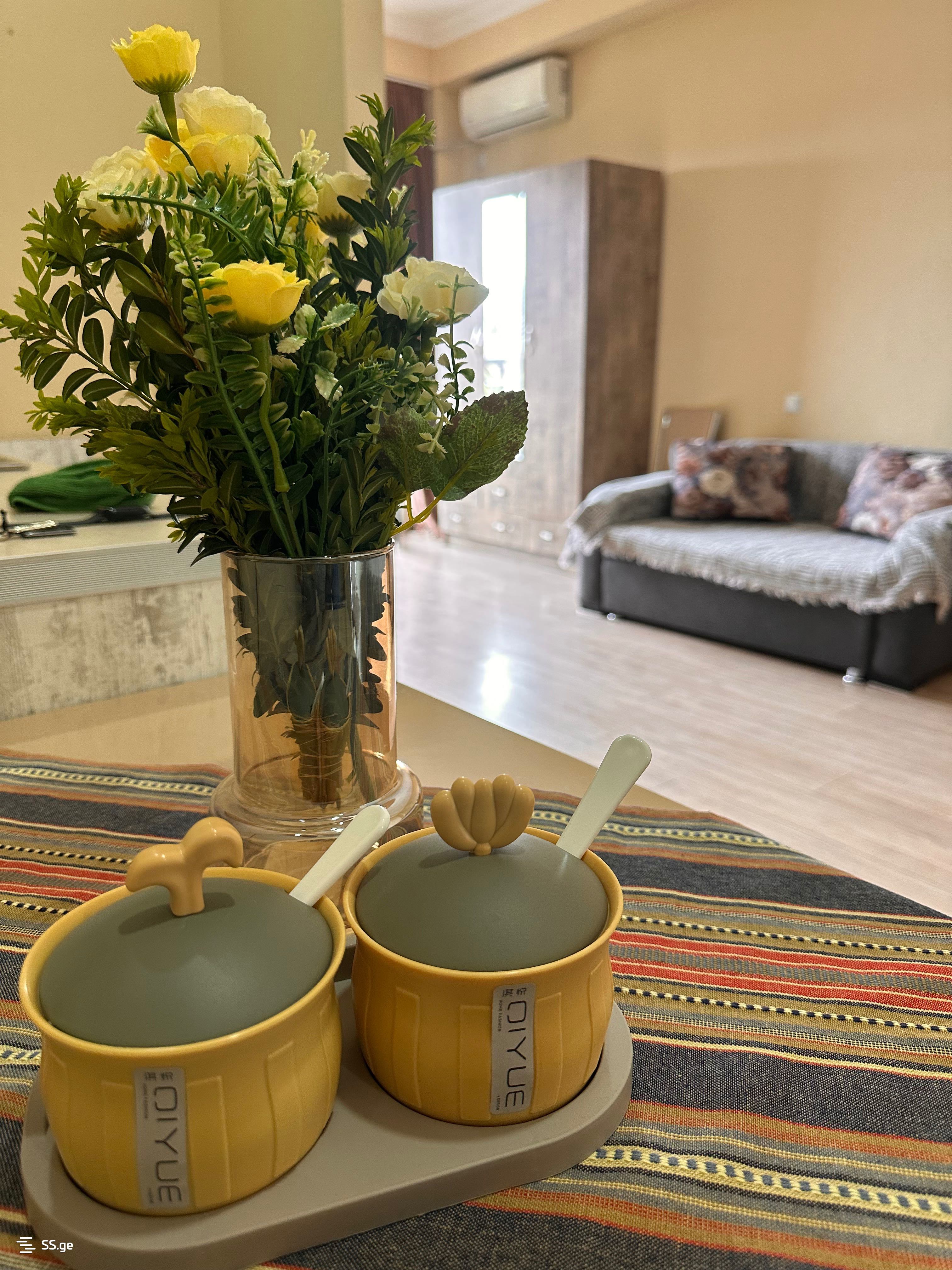 1 room Flat Daily rent. Isani - Ansicht 3