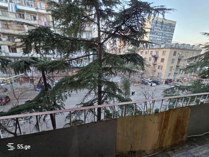 https://static.ss.ge/20250413/15_00b51289-6af5-4ff1-888b-cdd5adcb4388_Thumb.jpg