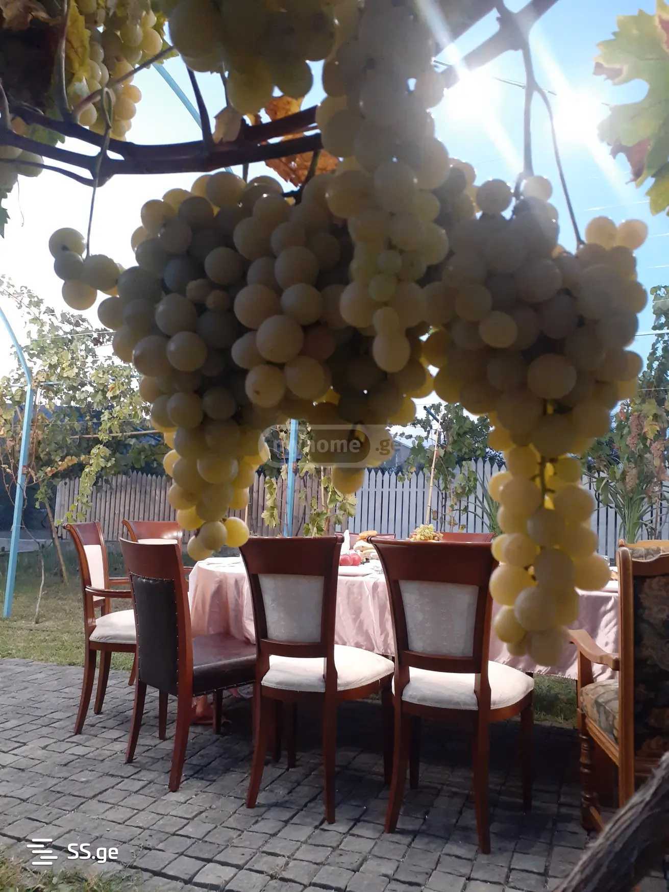 7 Room Private House For Rent. Bulachauri view 4