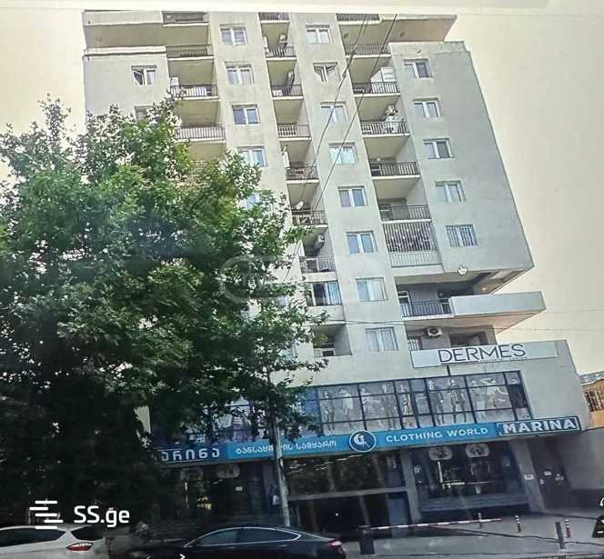 https://static.ss.ge/20250414/11_65bab572-6146-4b3a-89fd-37633fd25820_Thumb.jpg