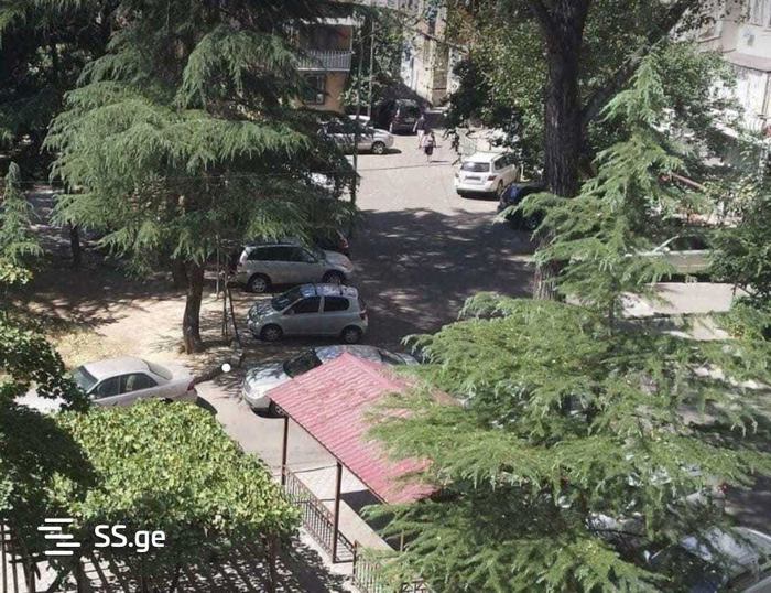 https://static.ss.ge/20250414/12_e55b3161-edb8-4bbd-937d-9a98d4354dfb_Thumb.jpg