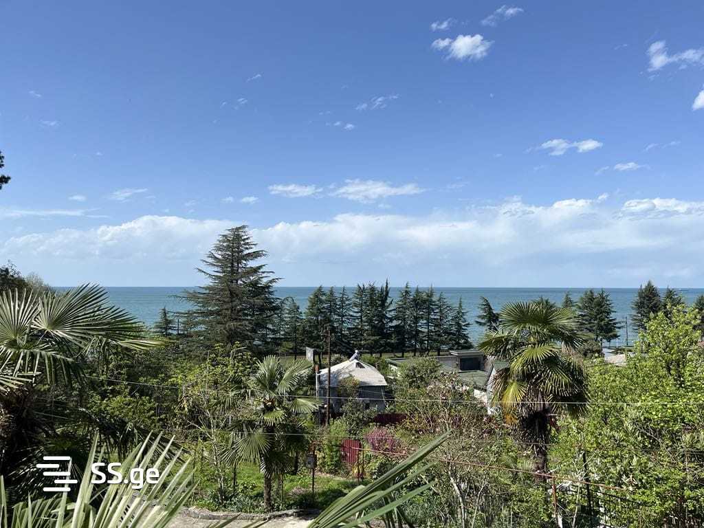 Land For Sale. Makhindjauri view 3