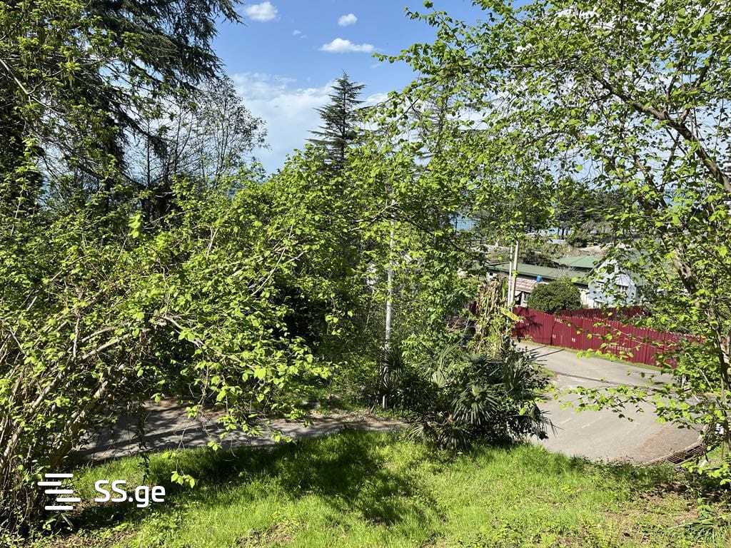 Land For Sale. Makhindjauri view 9