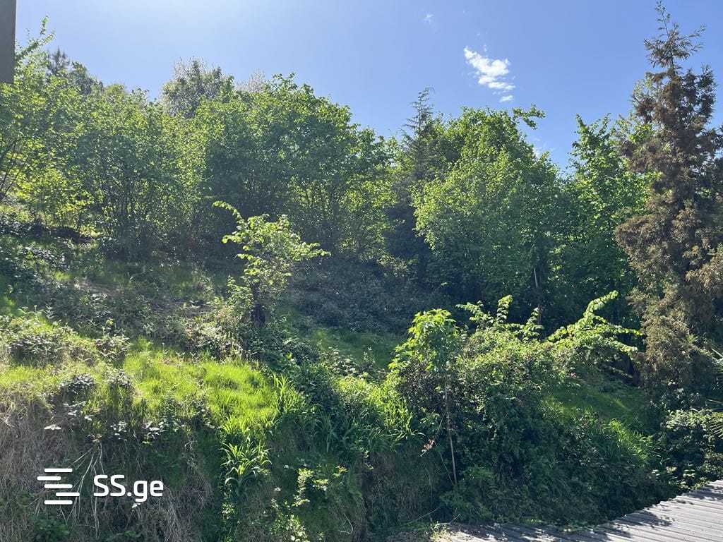 Land For Sale. Makhindjauri view 2