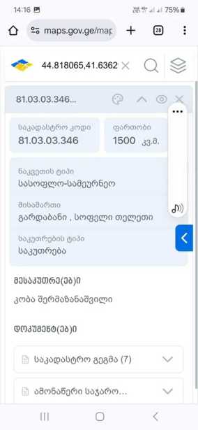 https://static.ss.ge/20250414/18_9341ea3e-9c0c-4d10-aeb7-eaf9f6ebe338_Thumb.jpg
