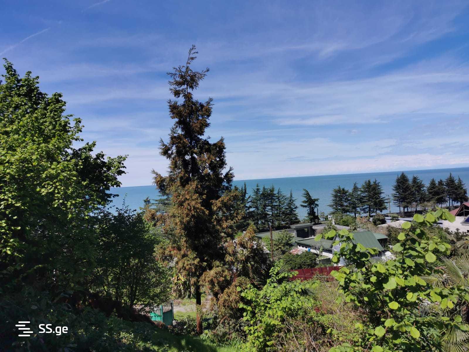 Land For Sale. Makhindjauri view 5