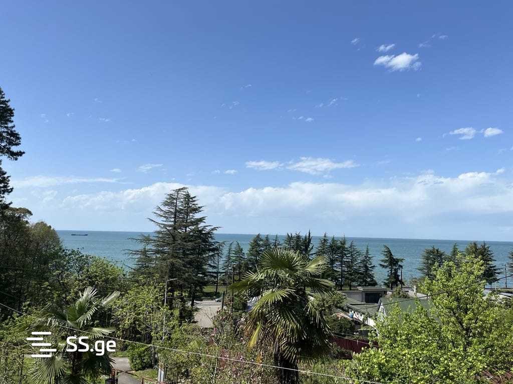 Land For Sale. Makhindjauri view 1