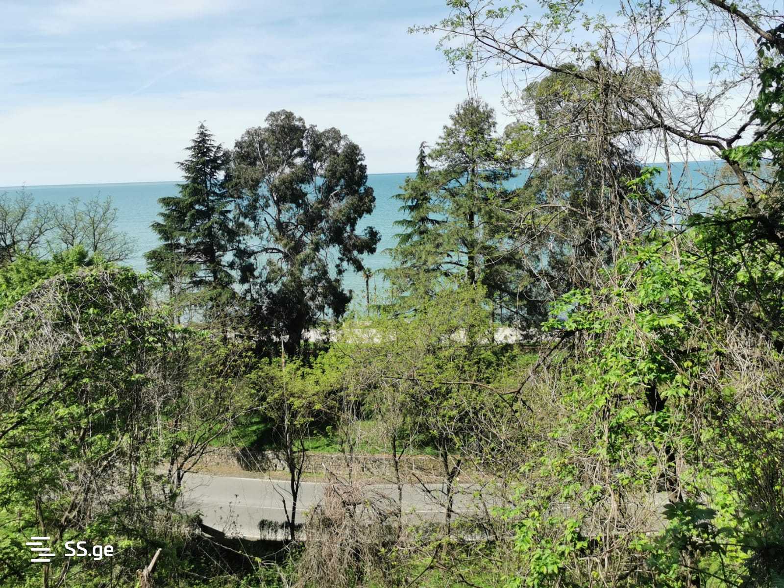Land For Sale. Makhindjauri view 10