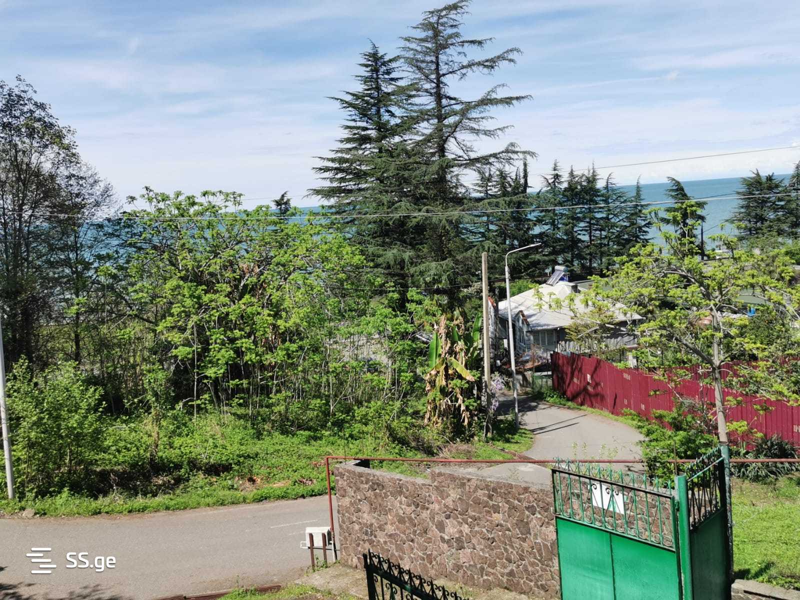 Land For Sale. Makhindjauri view 4
