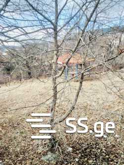 Commercial Space For Sale. Kojori view 5