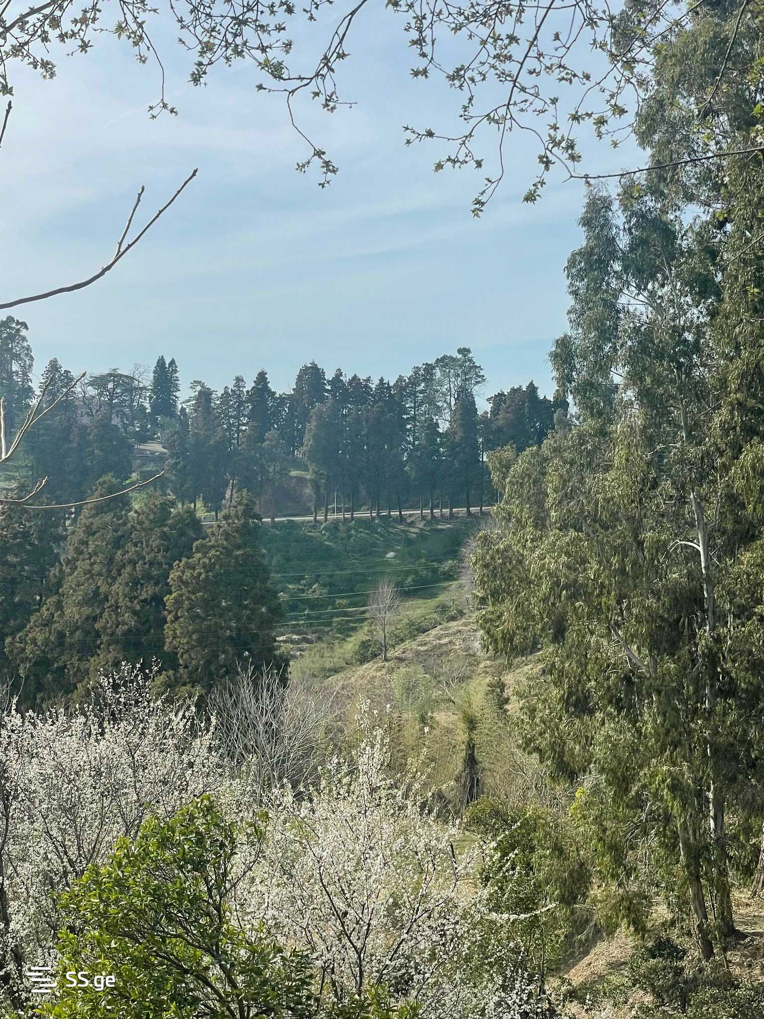 იყიდება მიწა ციხისძირიში view 2