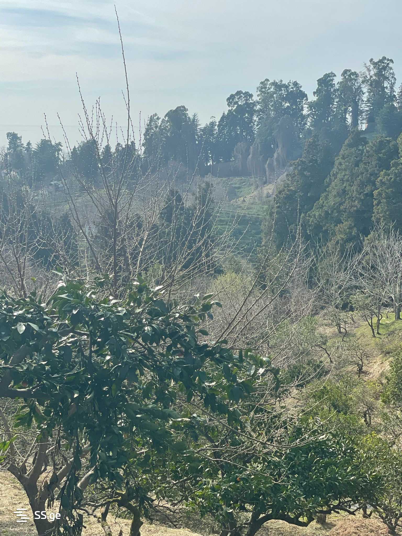 იყიდება მიწა ციხისძირიში view 1