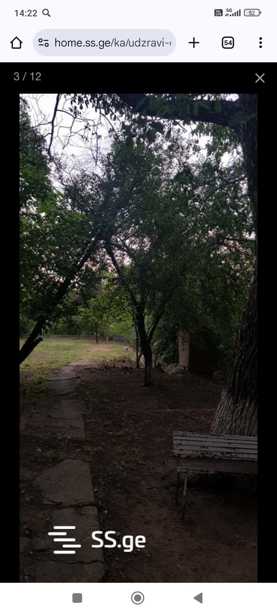 https://static.ss.ge/20250416/6_5a882109-c807-4565-8ec6-b809bc5b1358_Thumb.jpg