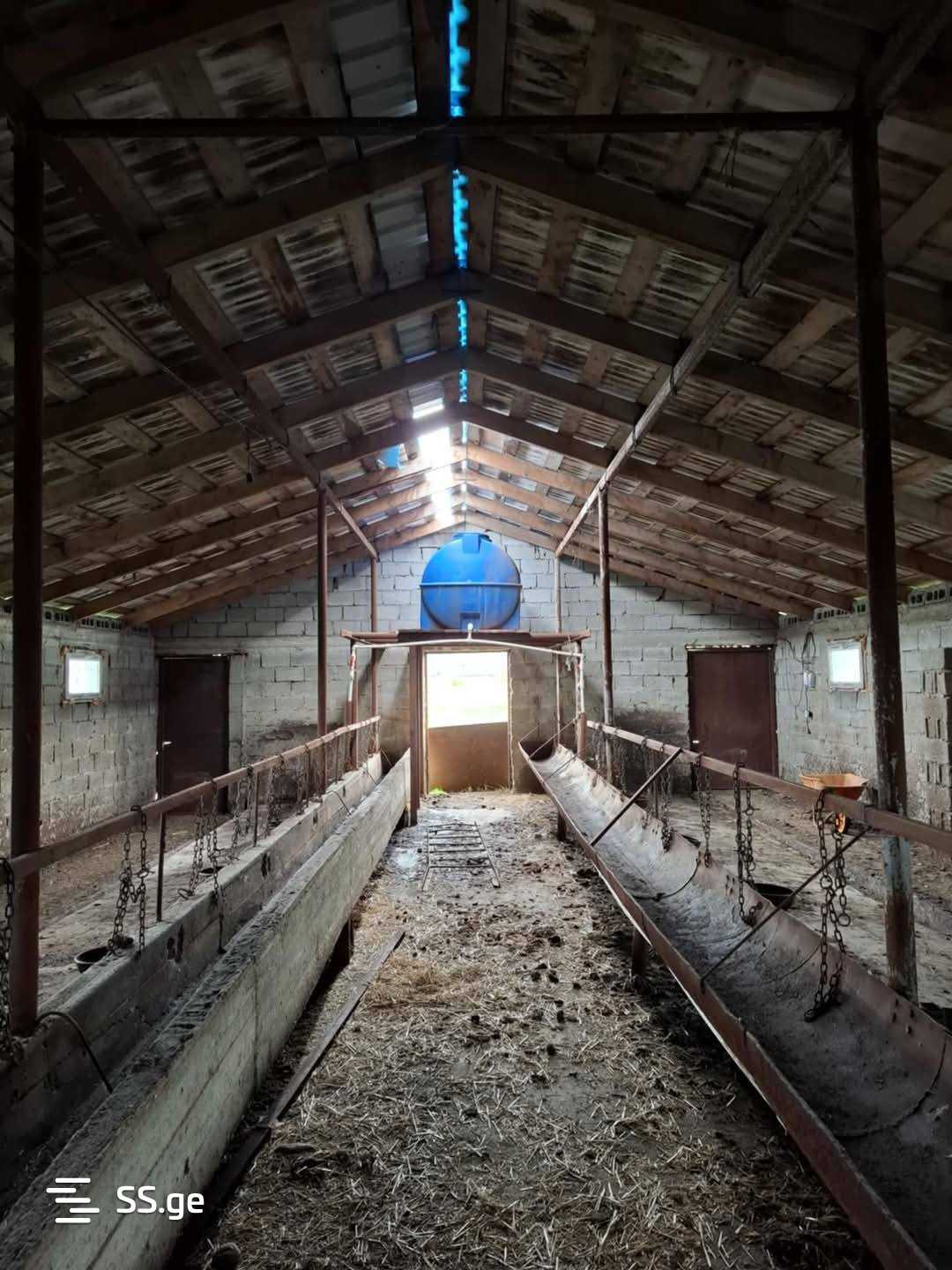 Store-Industrial Property For Sale. Bazaleti view 8
