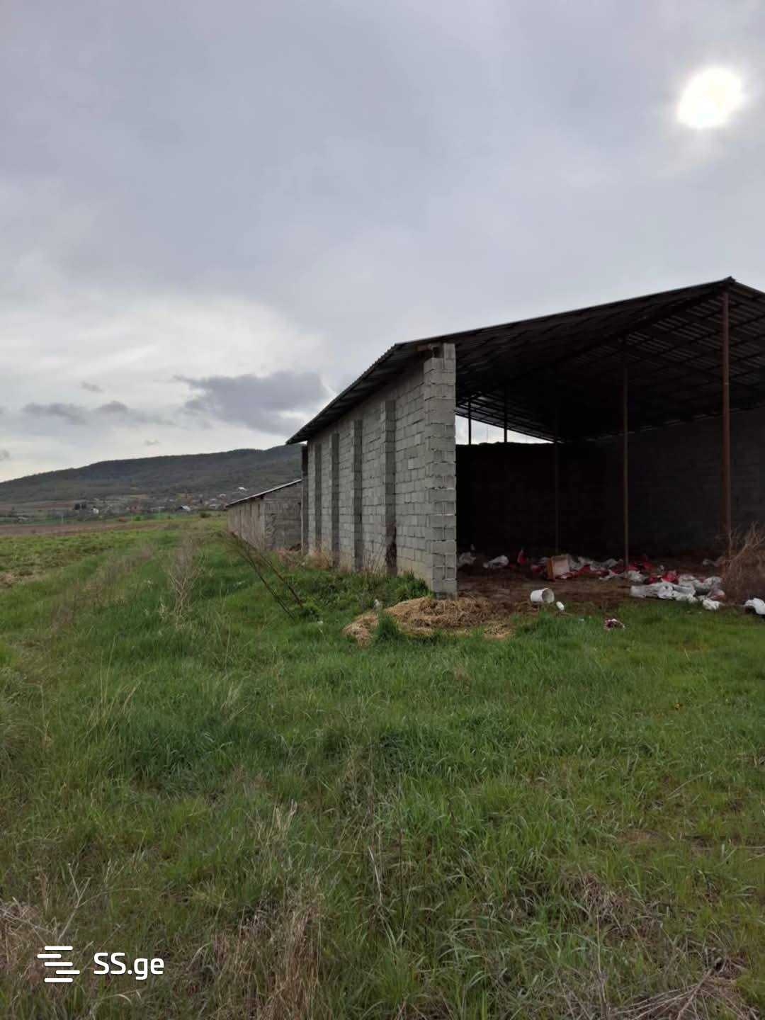 Store-Industrial Property For Sale. Bazaleti view 6