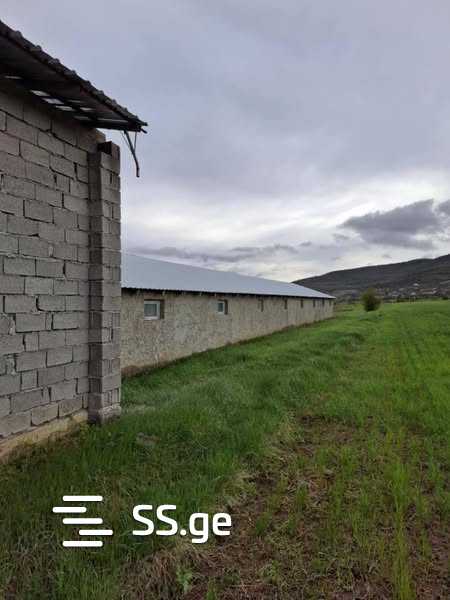 Store-Industrial Property For Sale. Bazaleti view 11