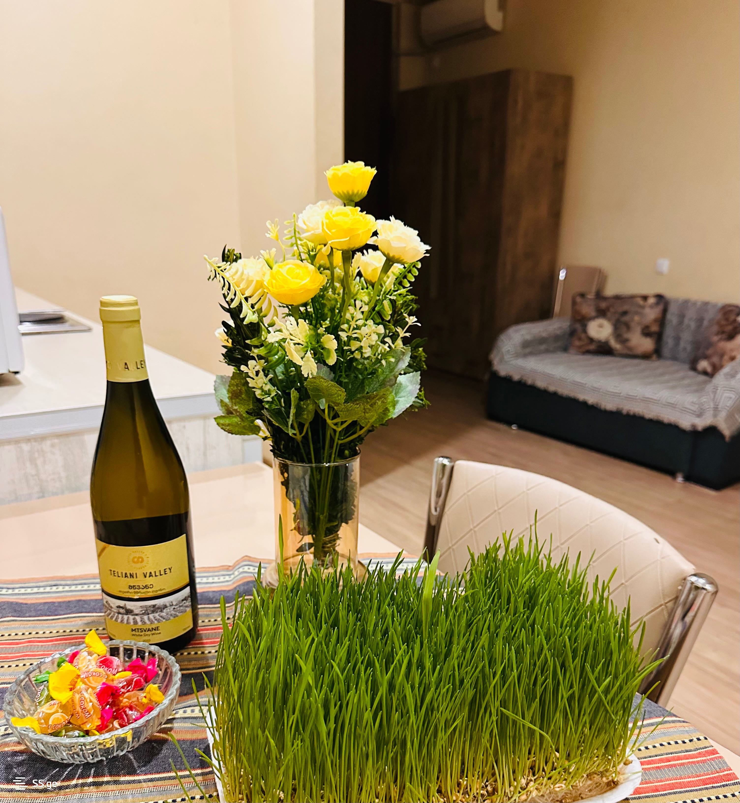 1 room Flat Daily rent. Isani - Ansicht 4