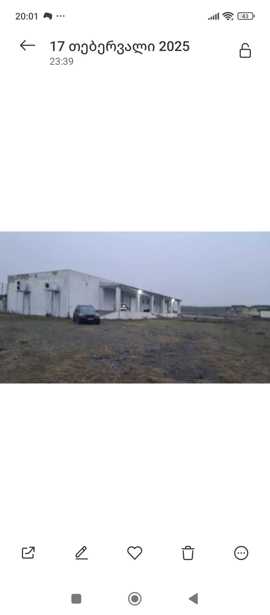 https://static.ss.ge/20250423/17_c9240b8d-6ebd-4f36-83a4-9735c4780f9a_Thumb.jpg