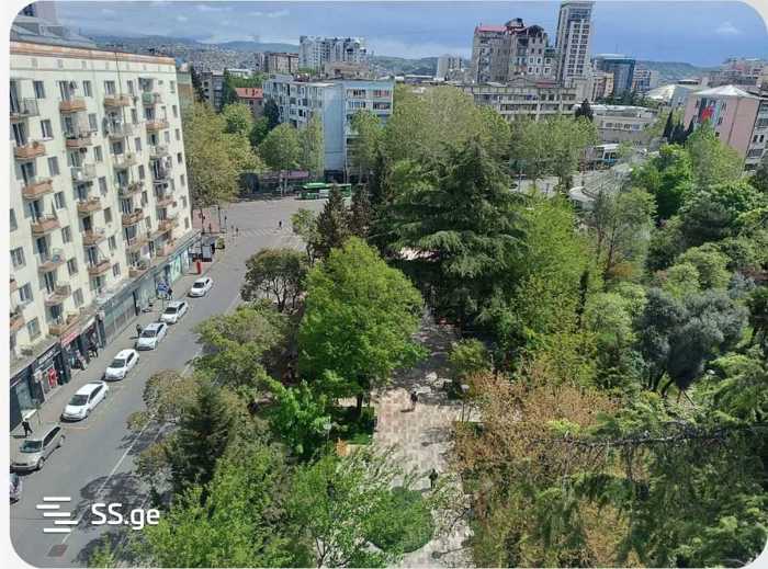 https://static.ss.ge/20250425/11_2f687c32-8c43-4cbc-9f29-969ce2e78904_Thumb.jpg
