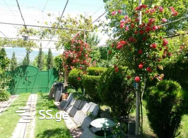 6 Room Summer Cottage For Rent. Tserovani view 7