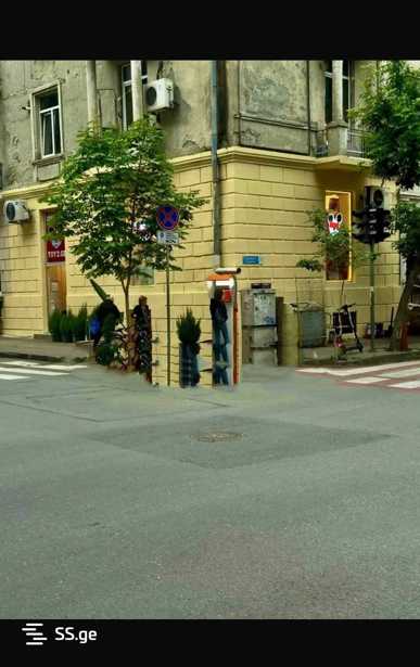 https://static.ss.ge/20250427/10_dda61355-f485-4c61-85f7-fb2900d8fc13_Thumb.jpg