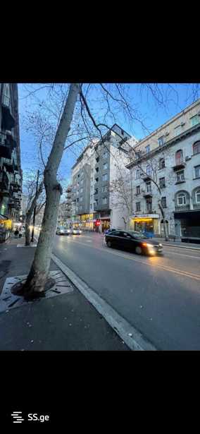 https://static.ss.ge/20250429/11_3623a7f3-dba1-4873-bb27-94838b3d8abf_Thumb.jpg