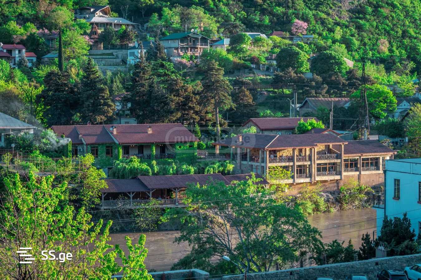 Commercial Space For Sale. Mtskheta view 6