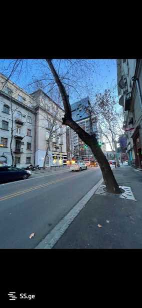 https://static.ss.ge/20250429/8_5dc0b62d-a6b8-423f-83af-3a73e73bdac0_Thumb.jpg