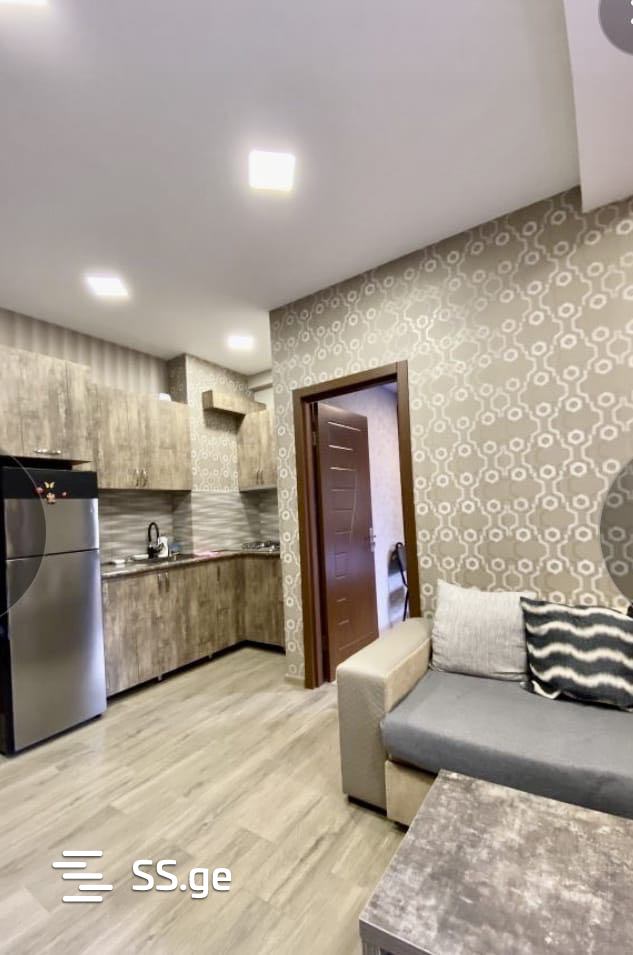 2 Room Flat Daily Rent. Didube view 5
