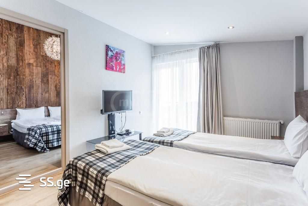 Hotel For Rent. Gudauri view 4
