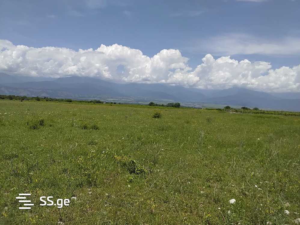 Land For Sale. Telavi, 3 of 4