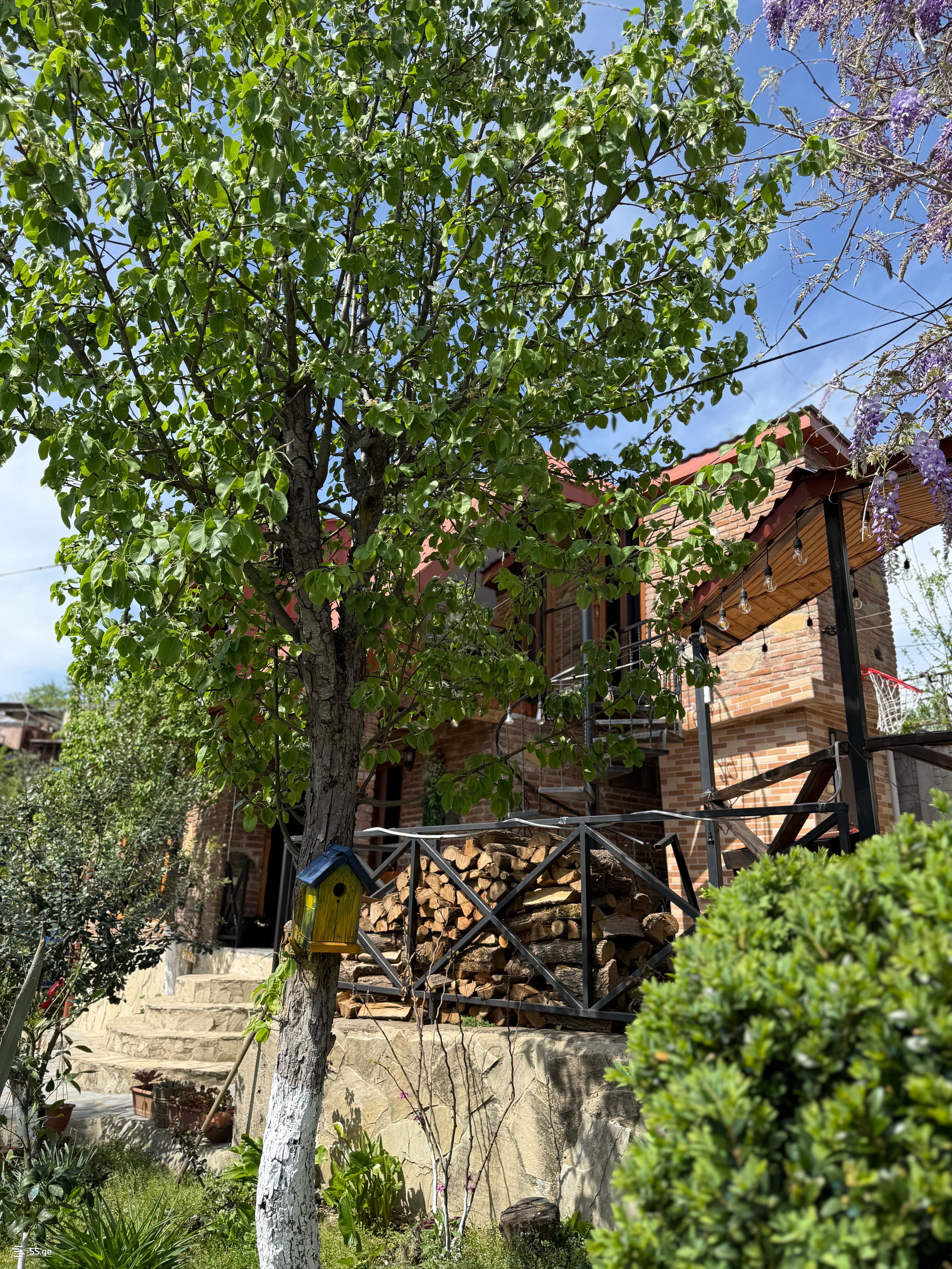 3 Room Summer Cottage Daily Rent. Kutaisi view 3