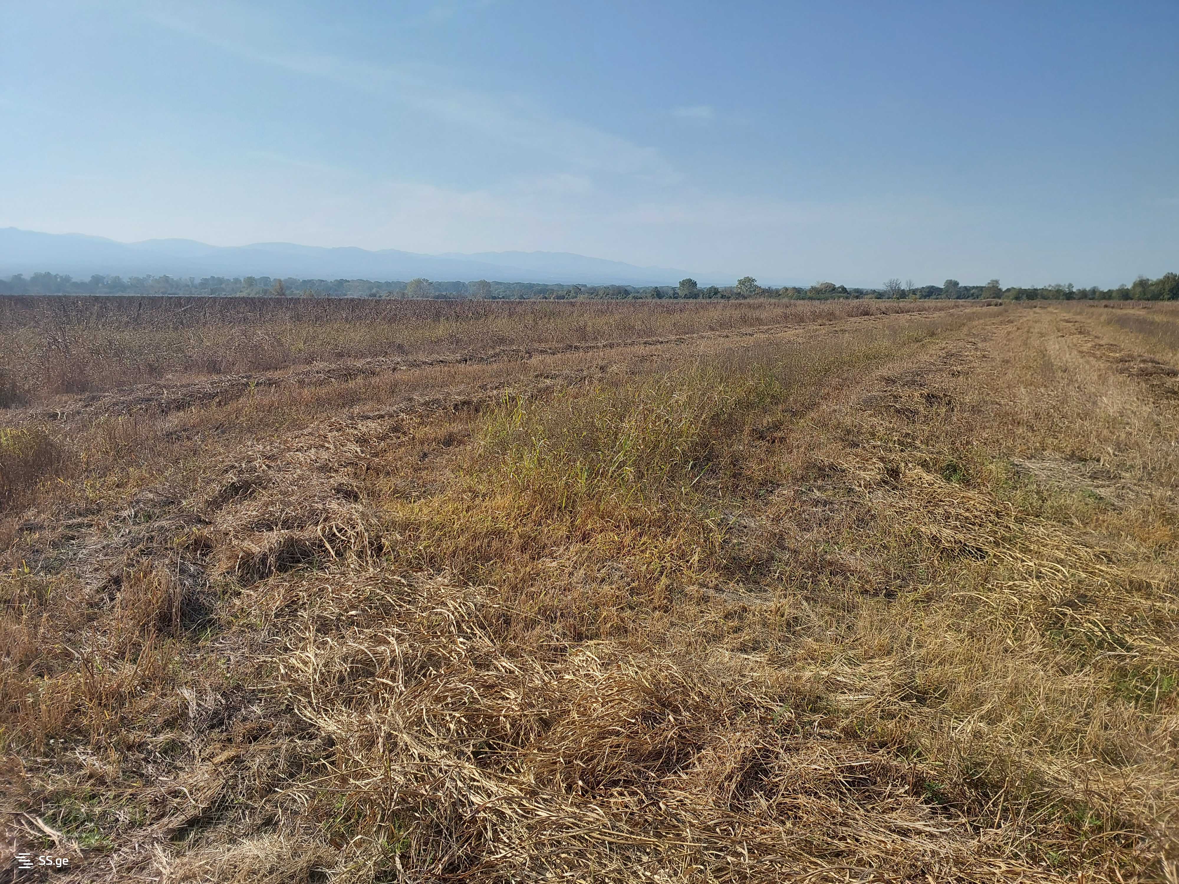 Продажа Agricultural Plot в In Kvareli view 5